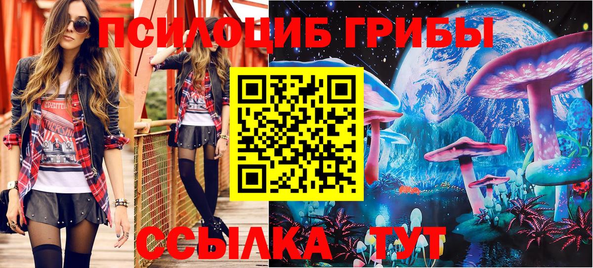 Галлюциногенные грибы прущие грибы Чехов