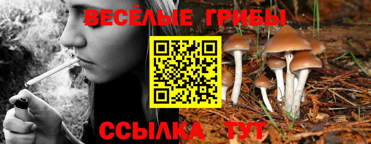 Псилоцибиновые грибы MAGIC MUSHROOMS  Галлюциногенные грибы мухоморы  Вход с VPN  Чехов 