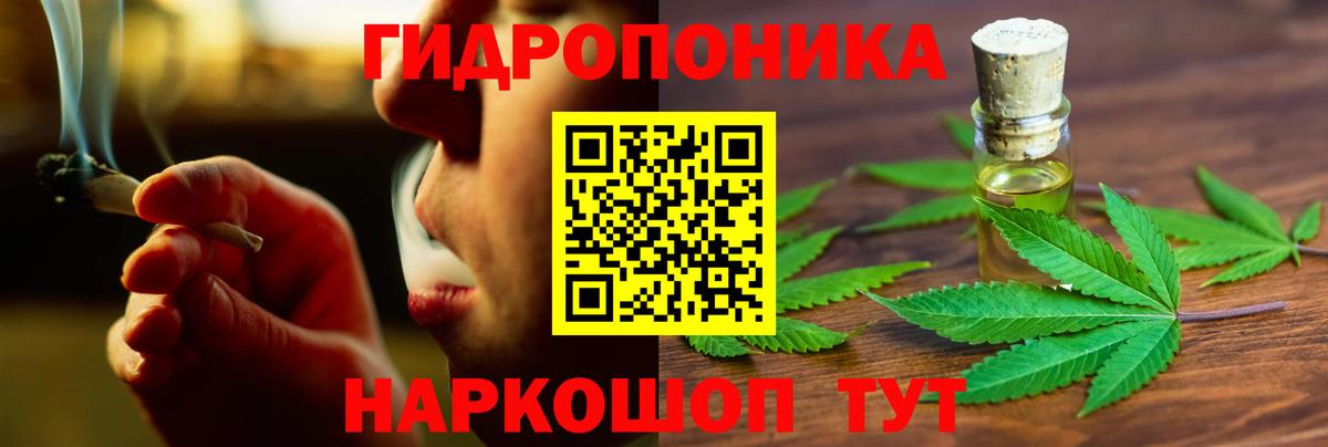 МАРИХУАНА сатива Чехов
